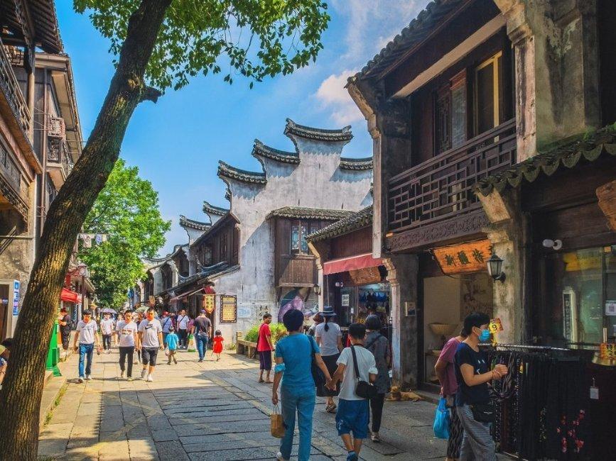 解惑蜗牛-世界上最大的原始森林在哪里?蜗牛问答平台